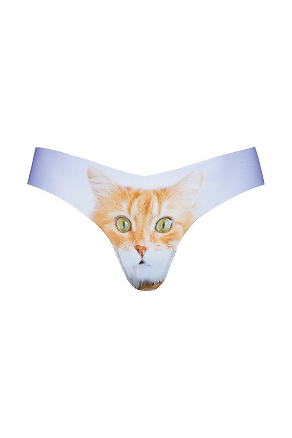 Commando Photo-Op Thong Print - Photo-Op Orange Kitty - source image 59064