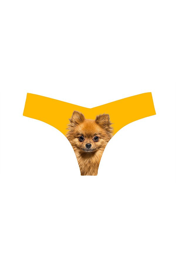 Commando Photo-Op Thong Print - Photo-op Pomeranian - source image 67528