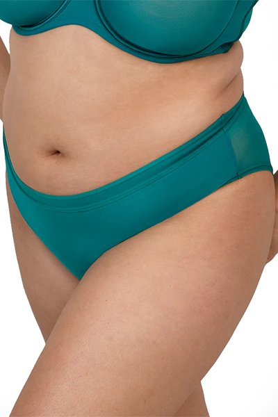 Curvy Couture Sheer Mesh Hipster - Aventurine - source image 66712