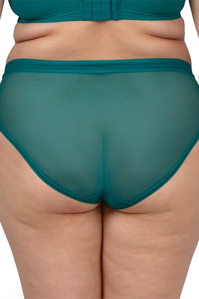Curvy Couture Sheer Mesh Hipster - Aventurine - source image 66713