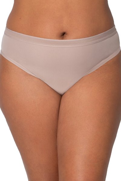 Curvy Couture Sheer Mesh Hipster - Bark - source image 57637