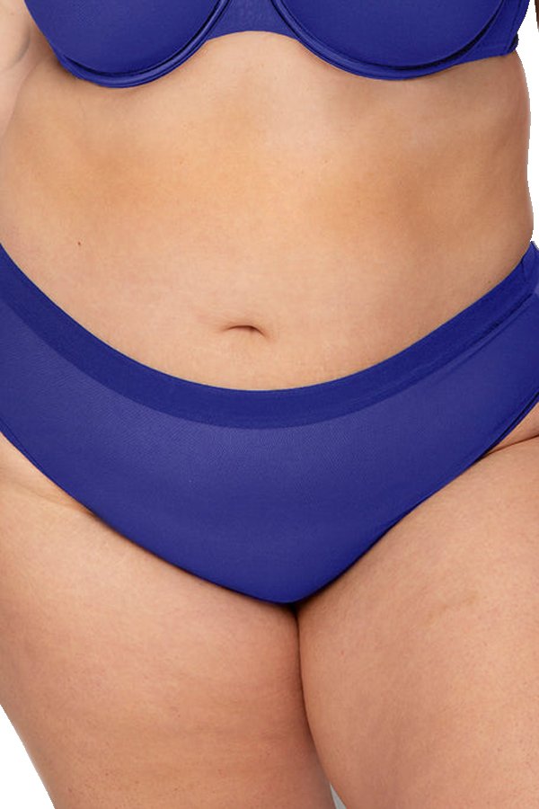 Curvy Couture Sheer Mesh Hipster - Cosmic Blue - source image 61077