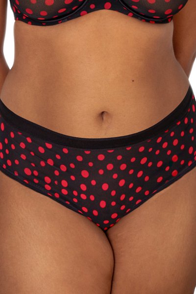 Curvy Couture Sheer Mesh Hipster - Dancing dots - source image 59715