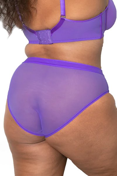 Curvy Couture Sheer Mesh Hipster - Violet - source image 66710