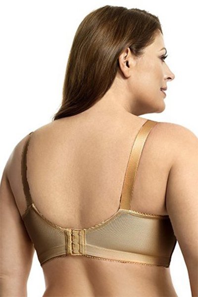 Elila Lace Softcup Bra - Mocha - source image 29599