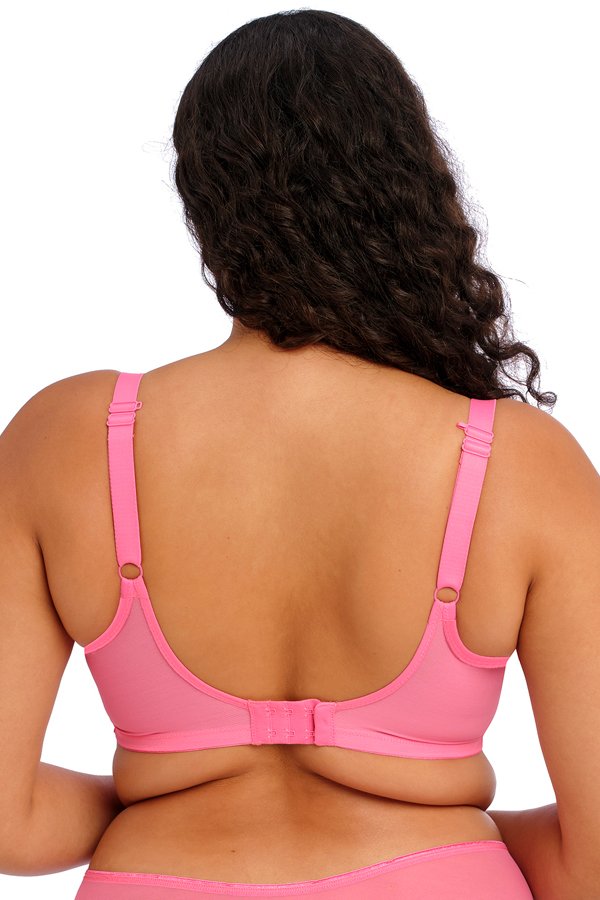 Elomi Matilda Plunge Bra - Wild Cherry - source image 58200