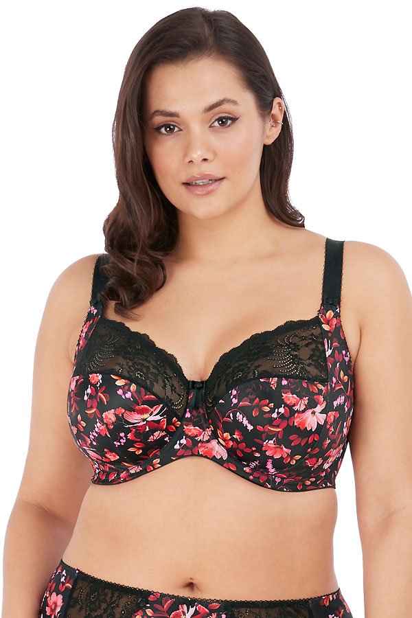 Elomi Morgan Banded Underwire Stretch Lace Bra - Autumn Breeze - source image 39836