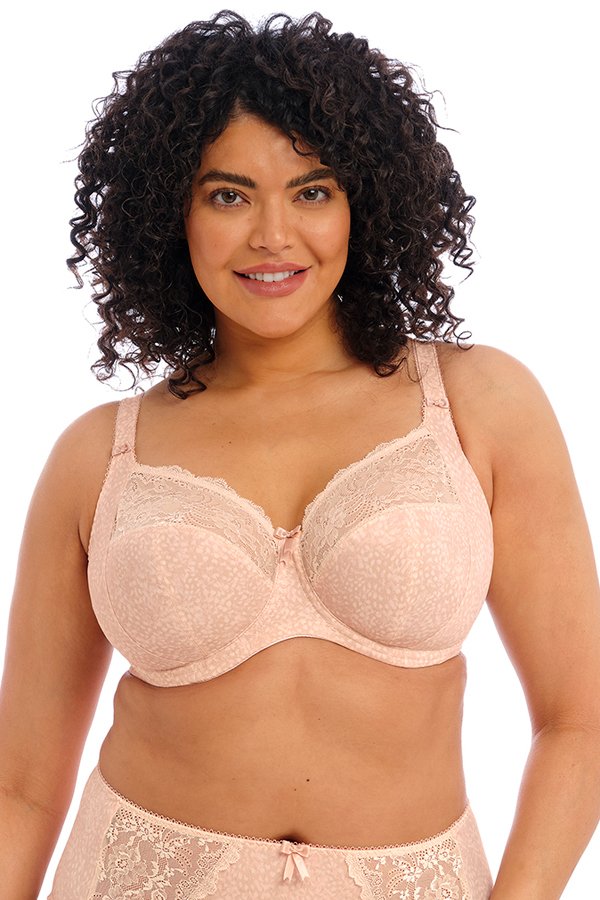 Elomi Morgan Banded Underwire Stretch Lace Bra - Cameo Rose - source image 58057