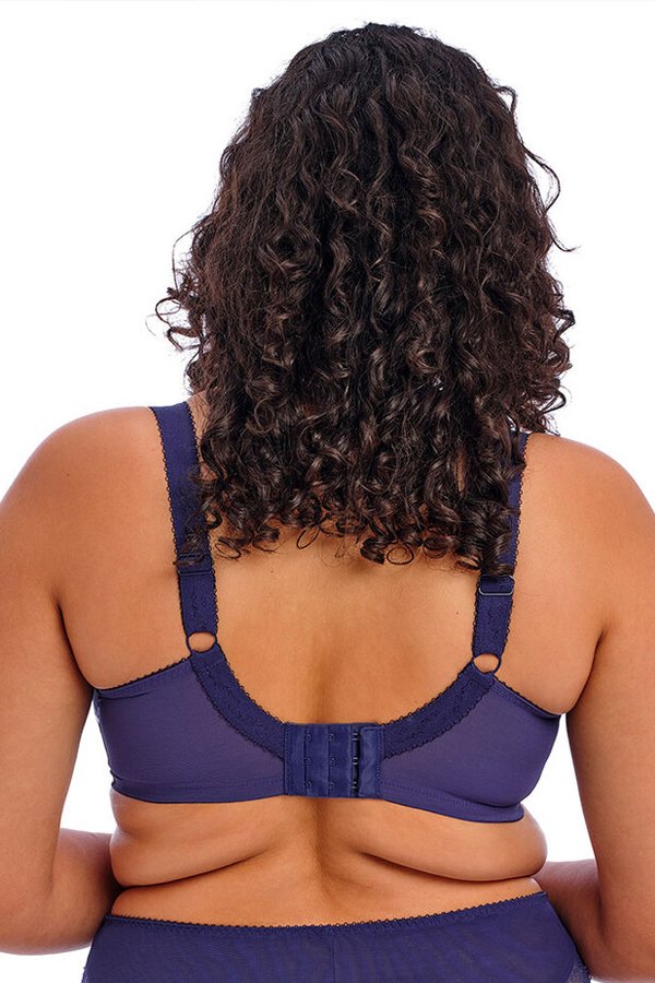 Elomi Morgan Banded Underwire Stretch Lace Bra - Sicilia - source image 65552
