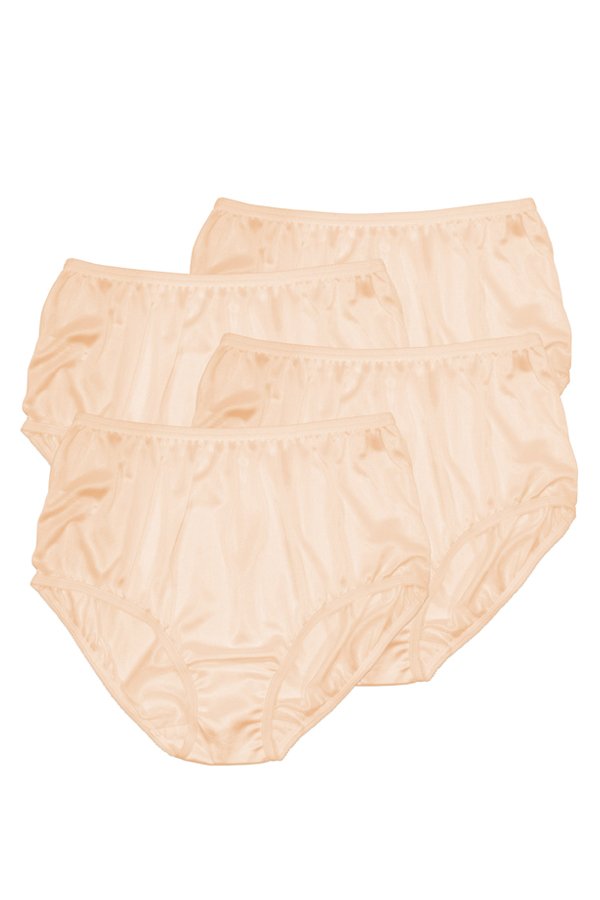 Teri Lingerie Plain Jane Full Cut Nylon Brief 4-Pack - Beige - source image 57828