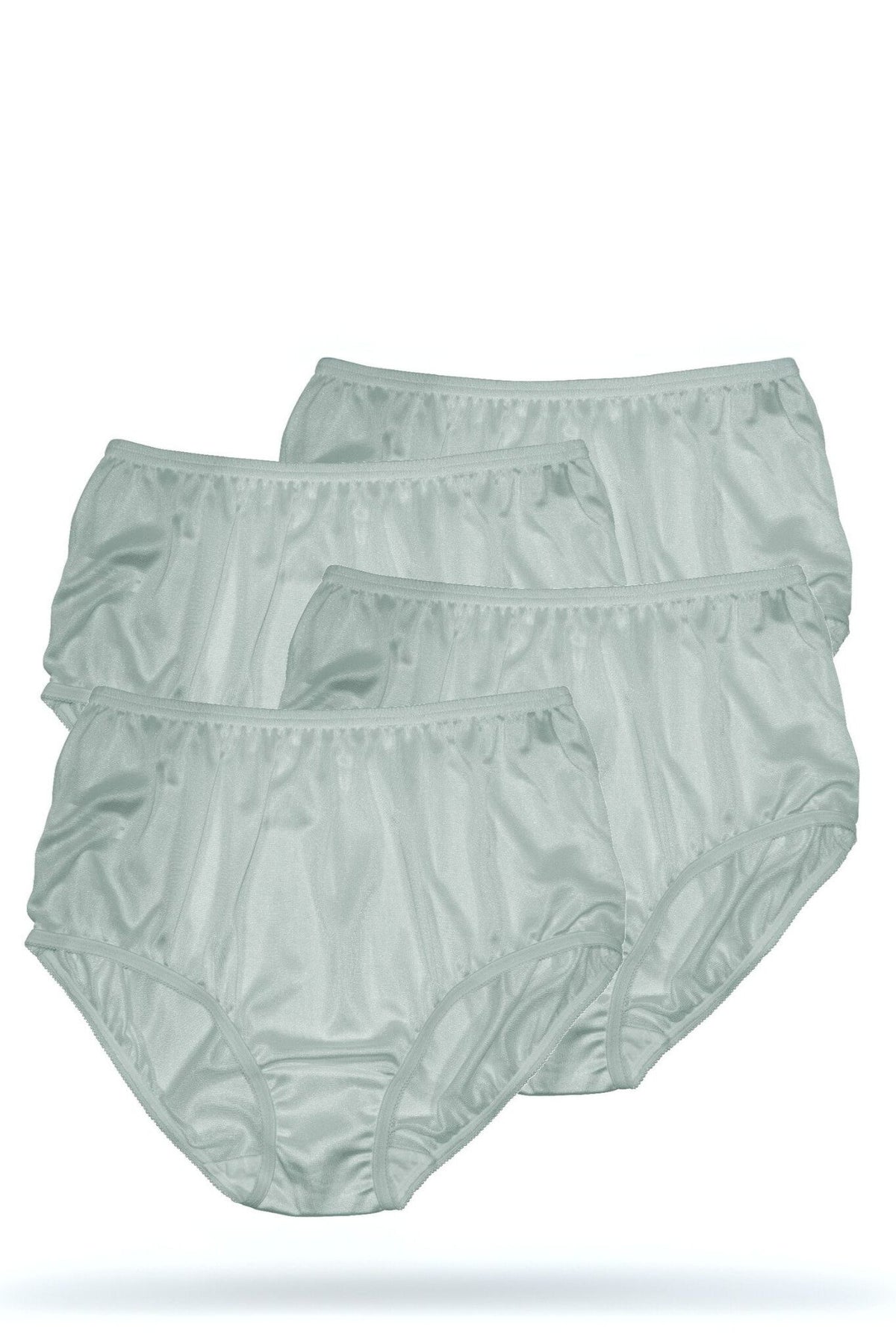 Teri Lingerie Plain Jane Full Cut Nylon Brief 4-Pack - Moss - source image 70669