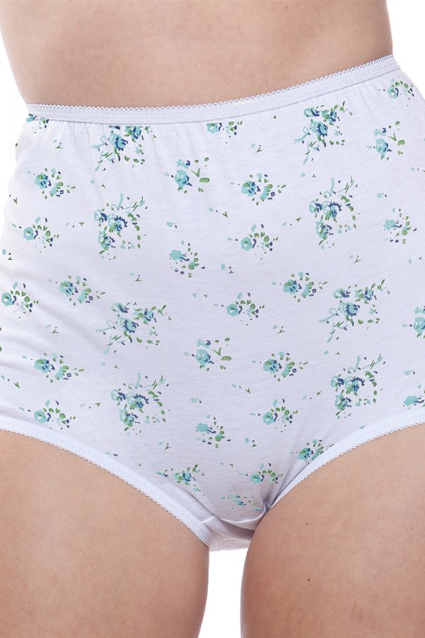 Teri Lingerie Floral Brief 6-Pack - Floral Print - source image 64244