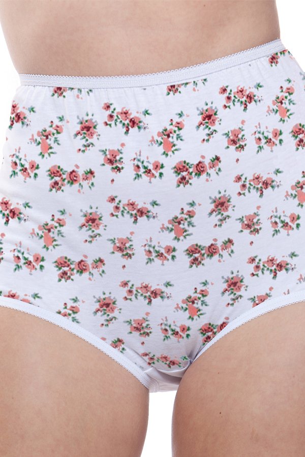 Teri Lingerie Floral Brief 6-Pack - Floral Print - source image 64245